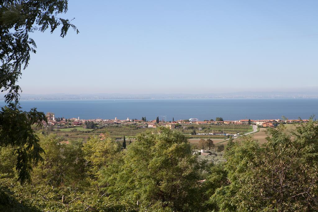 Agriturismo Il Grappolo 라찌제 외부 사진